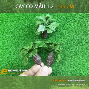 Cây cọ mẫu 1.2 - 5.5 cm