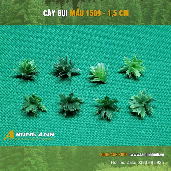 cay-bui-loai-1509-1.5cm
