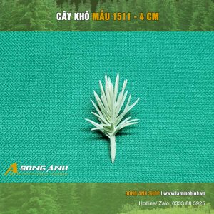 cay-kho-mau-1511-4-cm