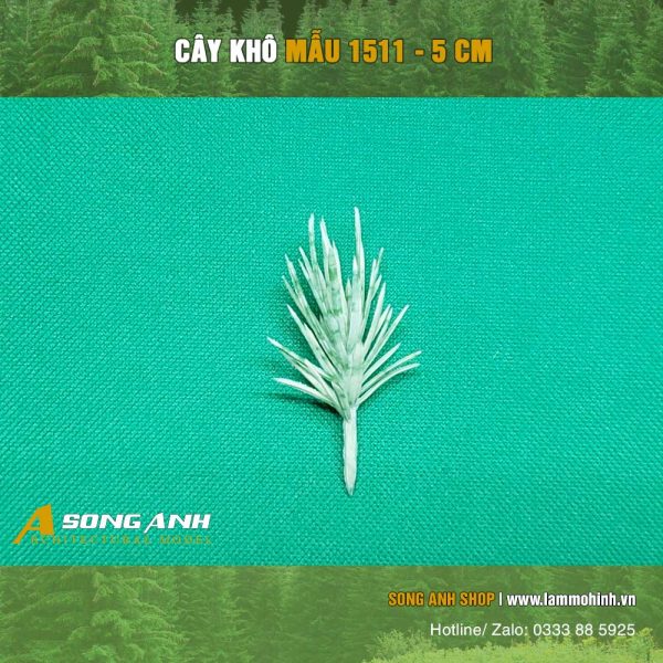 cay-kho-mau-1511-5-cm