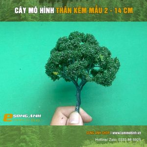 Alternative view of Cây có lá thân kẽm loại 2