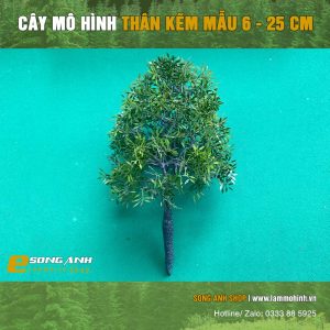 Cây có lá thân kẽm loại 6